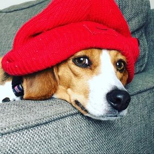 Meet your Posher, Vanessa